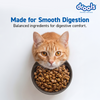 Drools Ocean Fish Adult Cat Dry Food Cats- Dry food Drools