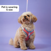 Skatrs Everyday Ready Harness & Leash Set for Small Breed Dogs & Cats (Pink) Both-Collar, Leashes, harnesses Skatrs