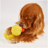 Fofos Jeep Duck Tough Plush Toy for Dogs Dogs-Toys FOFOS