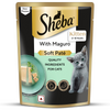 Sheba Maguro Pate Rich Premium Kitten Cat Wet Food Cats-Wet Food Sheba