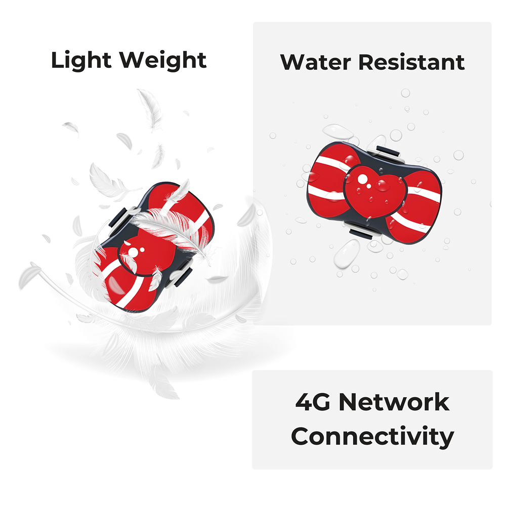 FeTaca PB1 Smart 4G GPS Waterproof Collar with Bow Tracker with 12months Free Tracking & App Subscription for Dogs and Cats (Red) Both-Collar, Leashes, harnesses FeTaca Dropship
