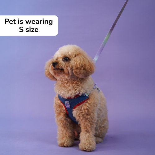 Skatrs Everyday Ready Harness & Leash Set for Small Breed Dogs & Cats (Blue)