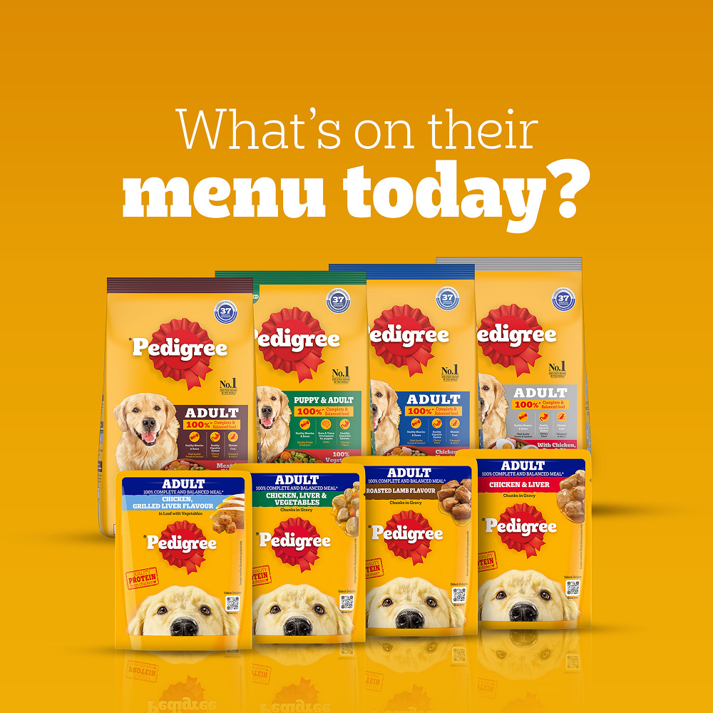 Pedigree Meat & Rice Adult Dog Dry Food