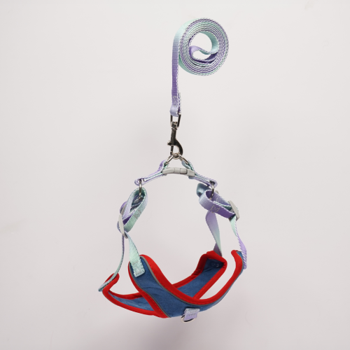 Skatrs Everyday Ready Harness & Leash Set for Small Breed Dogs & Cats (Blue) Both-Collar, Leashes, harnesses Skatrs