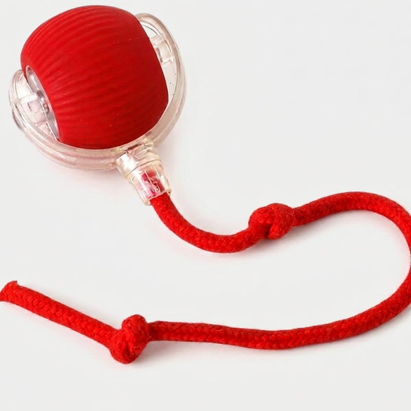 Talking Dog Club Automatic Rotating Interactive LED Ball for Cats, Kittens and Puppies (Red)
