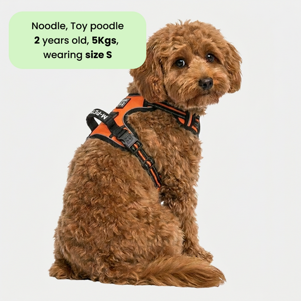 M Pets Water Resistant 3buckle Hiking Harness for Dogs (Orange)