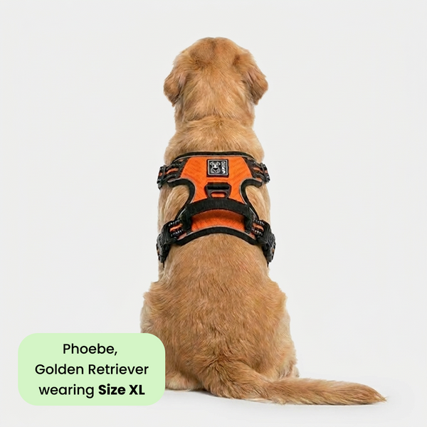 M Pets Water Resistant 3buckle Hiking Harness for Dogs (Orange)