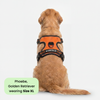 M Pets Water Resistant 3buckle Hiking Harness for Dogs (Orange) Dogs-Collar, Leashes, harnesses M Pets