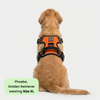 M Pets Water Resistant 3buckle Hiking Harness for Dogs (Orange) Dogs-Collar, Leashes, harnesses M Pets XL