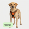 M Pets Water Resistant 3buckle Hiking Harness for Dogs (Orange) Dogs-Collar, Leashes, harnesses M Pets L