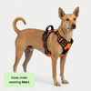 M Pets Water Resistant 3buckle Hiking Harness for Dogs (Orange) Dogs-Collar, Leashes, harnesses M Pets
