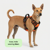 M Pets Water Resistant 3buckle Hiking Harness for Dogs (Orange) Dogs-Collar, Leashes, harnesses M Pets