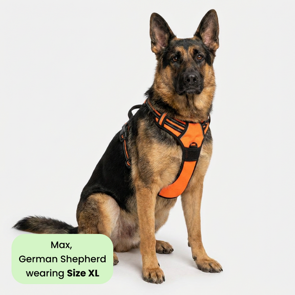 M Pets Water Resistant 3buckle Hiking Harness for Dogs (Orange)