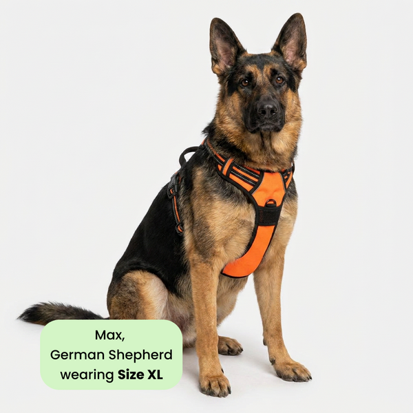 M Pets Water Resistant 3buckle Hiking Harness for Dogs (Orange)