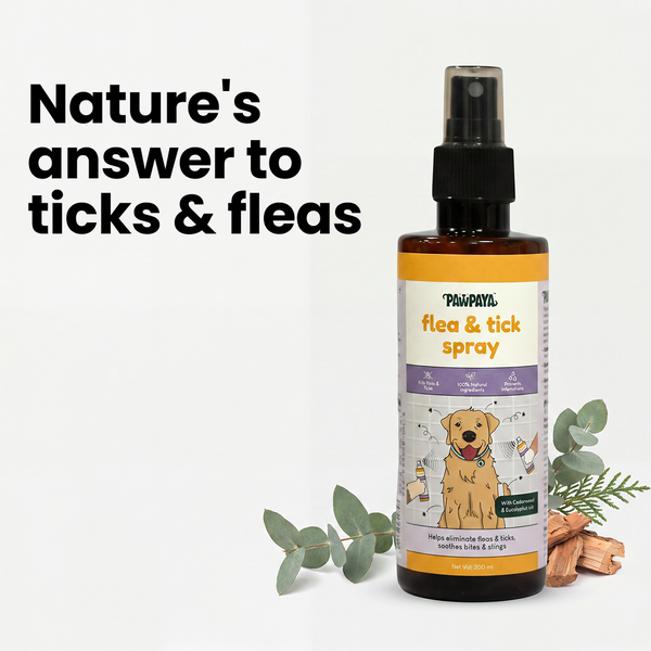 Pawpaya  Flea and Tick Spray for Dogs and Cats