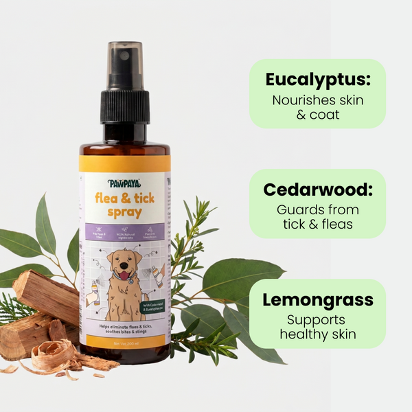 Pawpaya  Flea and Tick Spray for Dogs and Cats