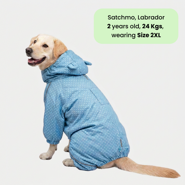 Skatrs Drizzle Dazzle Raincoat for Dogs (Light Blue)