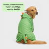 Barkbutler x Fofos Four Leg Dinosaur Raincoat for Dogs (Green) Dogs-Clothing & Accessories Barkbutler