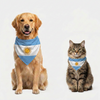 Skatrs Argentina Flag Supporter Bandana for Pets & Pet Parents