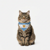 Skatrs Argentina Flag Supporter Bandana for Pets & Pet Parents