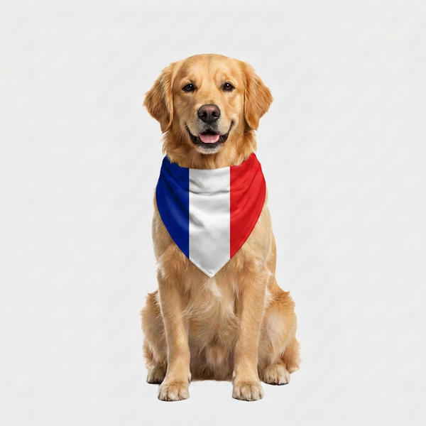 Skatrs France Flag Supporter Bandana for Pets & Pet Parents