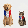 Skatrs France Flag Supporter Bandana for Pets & Pet Parents