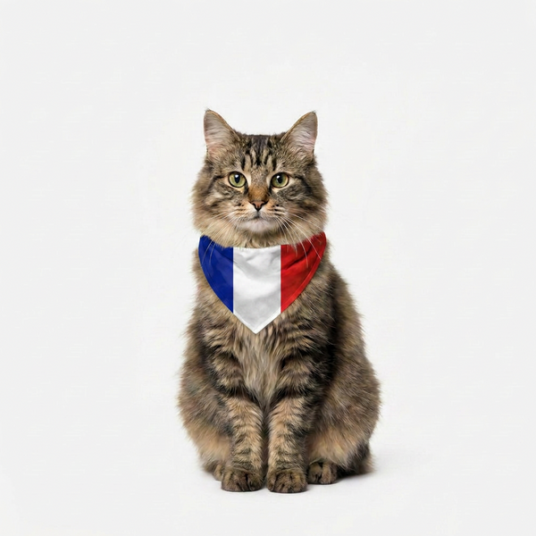 Skatrs France Flag Supporter Bandana for Pets & Pet Parents