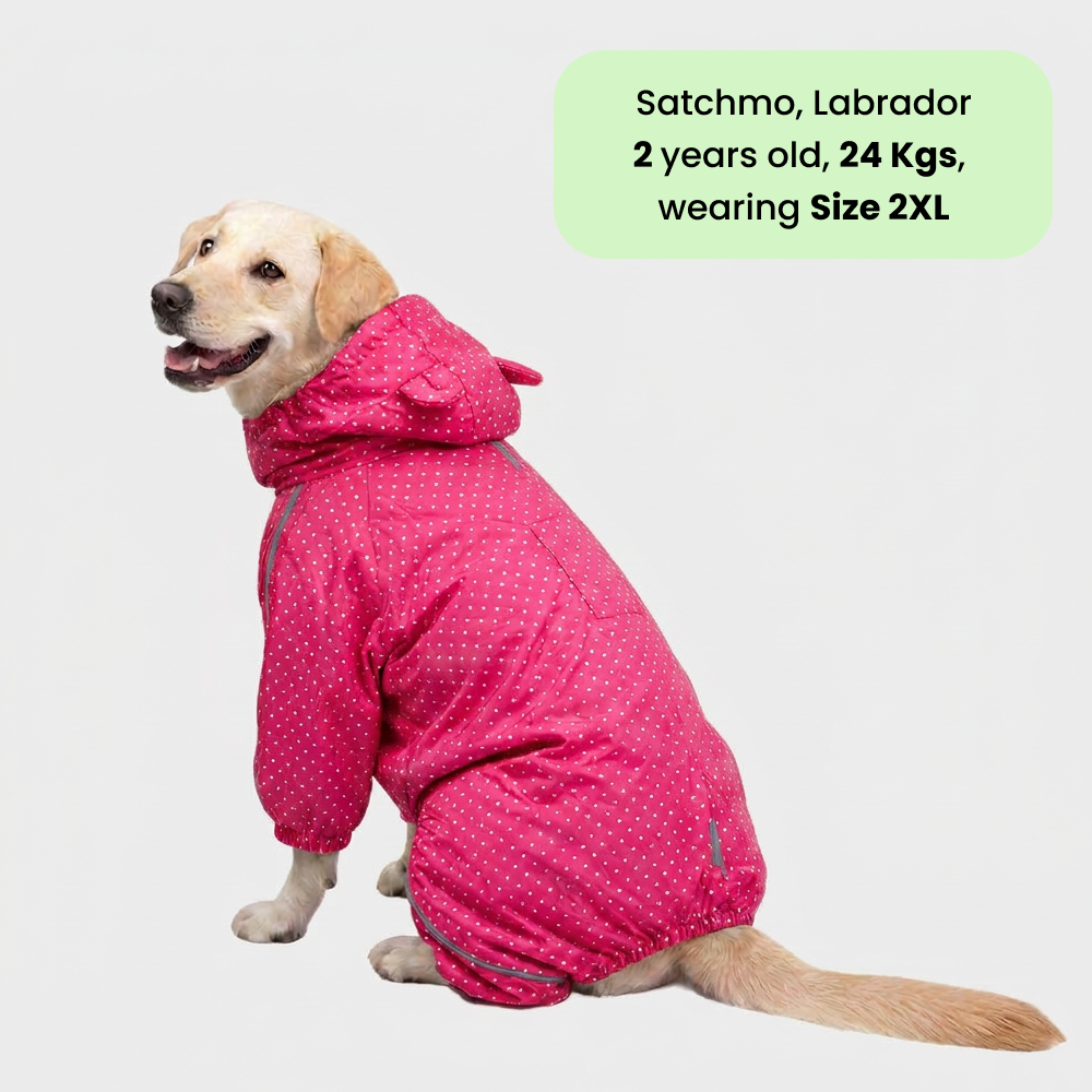 Skatrs RainFlex Raincoat for Dogs (Pink) Dogs-Clothing & Accessories Skatrs