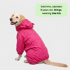 Skatrs RainFlex Raincoat for Dogs (Pink) Dogs-Clothing & Accessories Skatrs