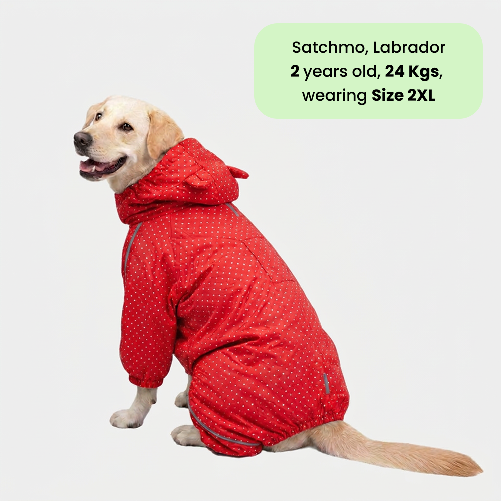 Skatrs Rain Ranger Raincoat for Dogs (Red) Dogs-Clothing & Accessories Skatrs