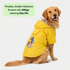 Pets Way Mistiq Yellow Monsoon Fun Raincoat for Dogs Dogs-Clothing & Accessories Pets Way Dropship