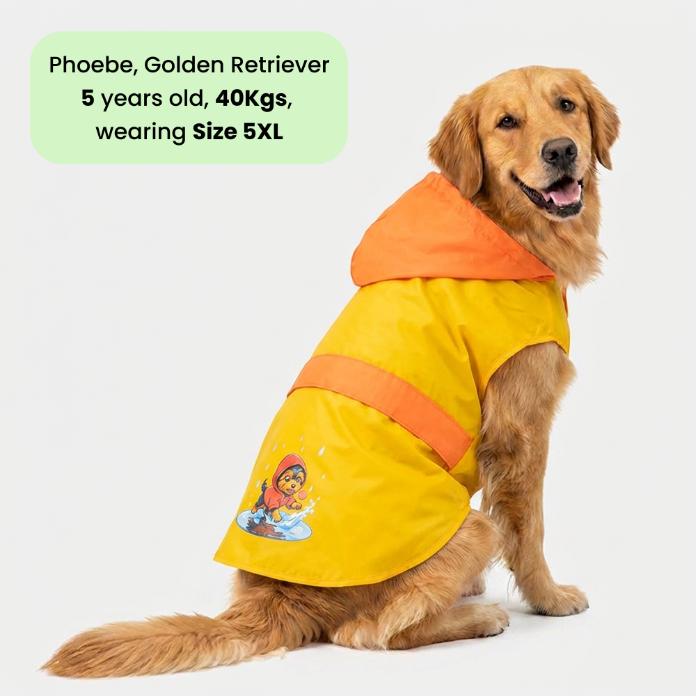 Thunder Dog Raincoat for Dogs (Yellow Orange) Dogs-Clothing & Accessories Pets Way Dropship