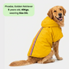 15 Furries Urban Waterproof Raincoat for Dogs (Yellow) Dogs-Clothing & Accessories 15 Furries Dropship