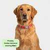 Ruffwear Confluence Waterproof Collar for Dogs (Red Sumac) Dogs-Collar, Leashes, harnesses Ruffwear Dropship M