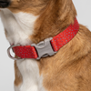 Ruffwear Confluence Waterproof Collar for Dogs (Red Sumac) Dogs-Collar, Leashes, harnesses Ruffwear Dropship