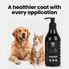 Hachi Wilson Premium Anti-Tick & Flea Shampoo for Dogs and Cats Both-Grooming Supplies Hachi Wilson