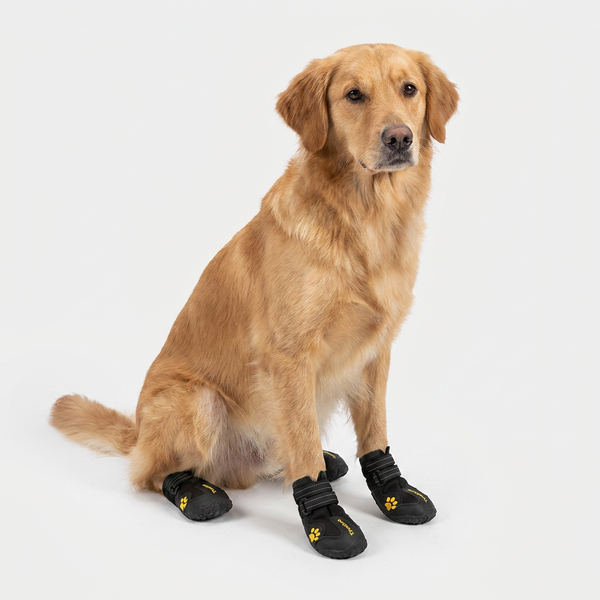 Truelove Waterproof Pet Boots for Dogs (Black, Set of 4)