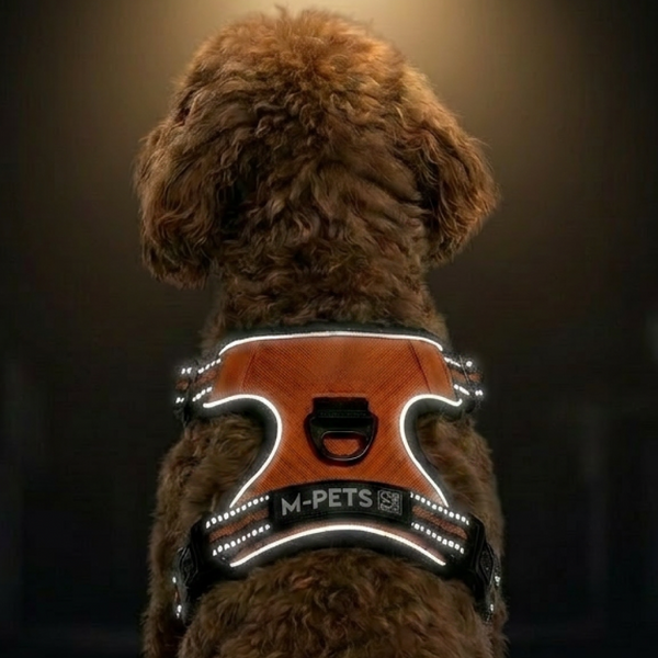M Pets Water Resistant 3buckle Hiking Harness for Dogs (Orange)