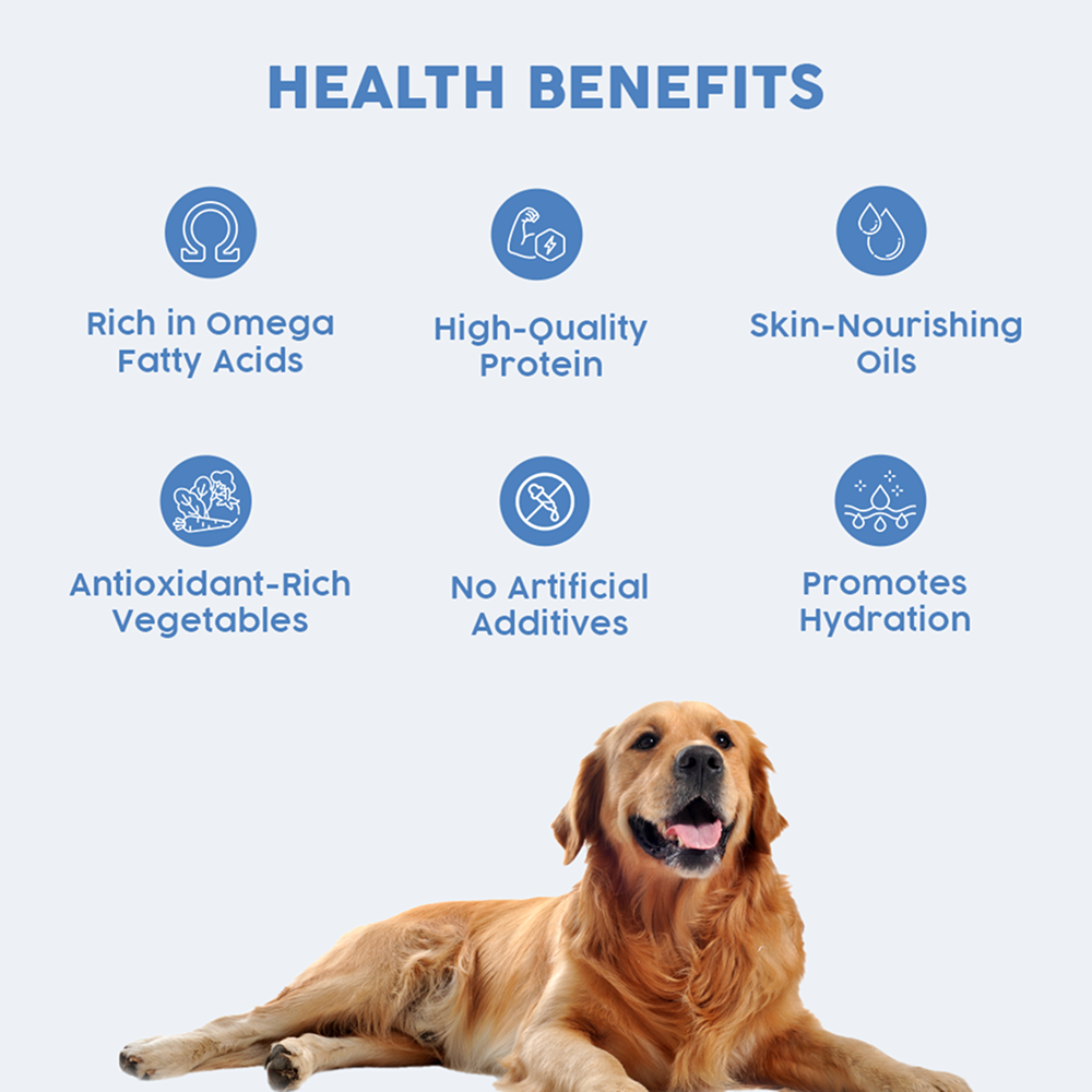 Benny's Bowl Clinical Nutrition for Healthy Skin and Coat Dog Wet Food Dogs-Fresh Food Bennys Bowl