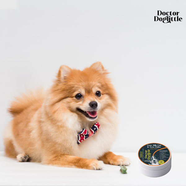 Doctor Doglittle Probiotic Goat Milk Paw & Nose Balm for Dogs