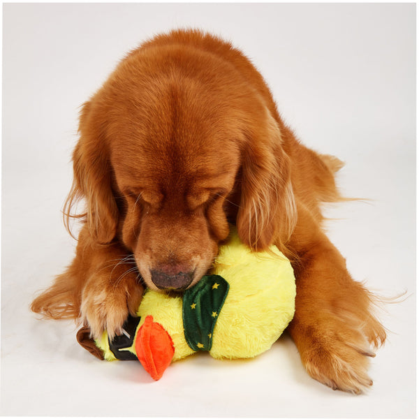 Fofos Cowboy Duck Jeep Plush Toy for Dogs