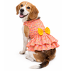 Pawgypets Softy Casual Dress for Dogs (Peach) Dogs-Clothing & Accessories Pawgypets Dropship XXS