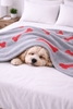 Talking Dog Club Bone Print Viscose Blanket for Dogs (Grey and Red Bone) Both-Bedding, Mats & Travel Supplies Talking Dog Club Dropship