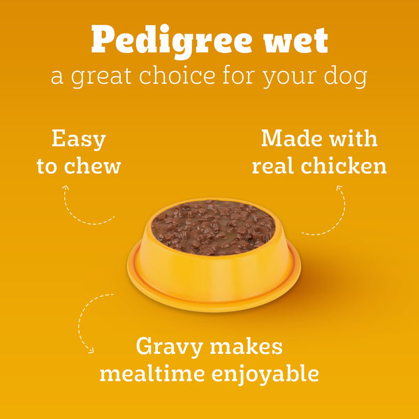 Pedigree Chicken & Liver Chunks in Gravy Puppy Wet Dog Food