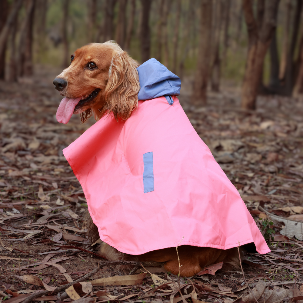 Pet Set Go Dual Colour Cape Style Raincoat for Dogs (Pink) Dogs-Clothing & Accessories Pet Set Go