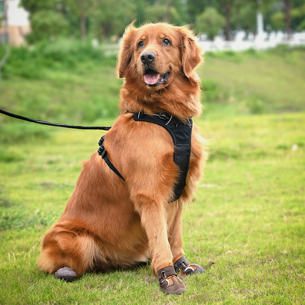 Truelove Reflective Waterproof and TPR Sole Shoes for Dogs (Pinecone/Glazed Ginger, Set of 4)