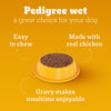 Pedigree Chicken and Liver Chunks in Gravy Adult Dog Wet Food (70g) Dogs-Wet Food Pedigree
