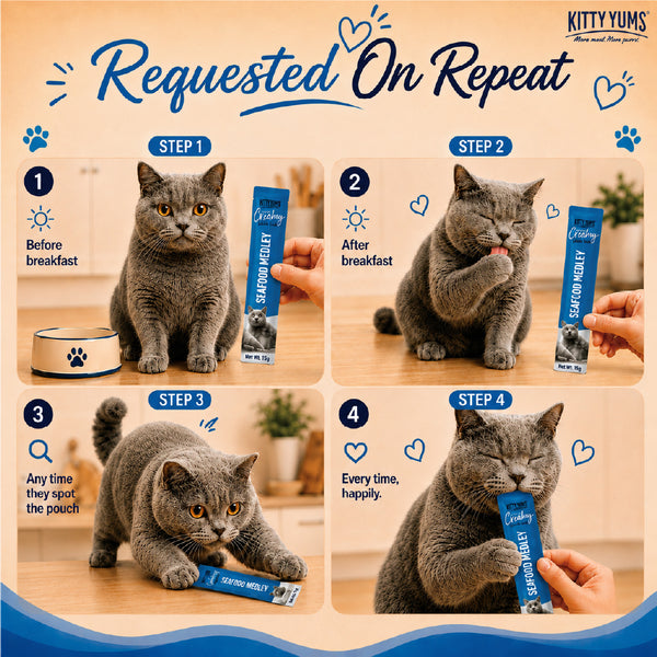 Kitty Yums Seafood Medley Creamy Cat Treat