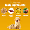 Pedigree Tasty Bites Chicken & Mixed Veggies Flavour Puppy Chewy Treats Dog Treats + Others Pedigree