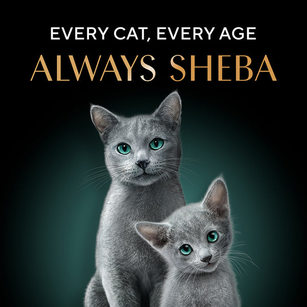 Sheba Complete Nutrition Succulent Chicken Breast In Gravy Cat Wet Food